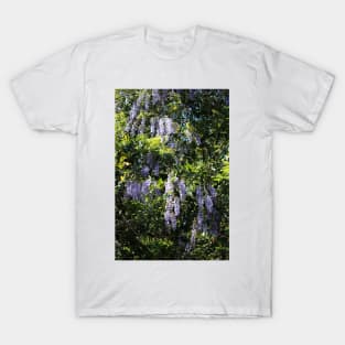 Cascade Of Wisteria T-Shirt